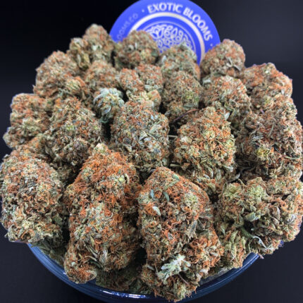 Gorilla Glue