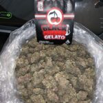 Black Cherry Gelato