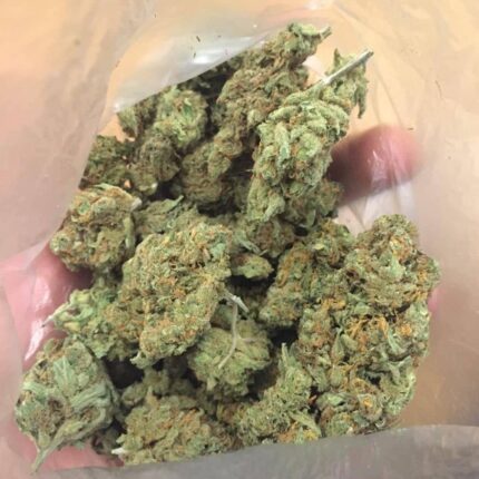 Blue Dream