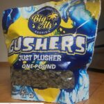 Gushers - Image 2