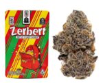 Zkittlez - Image 3